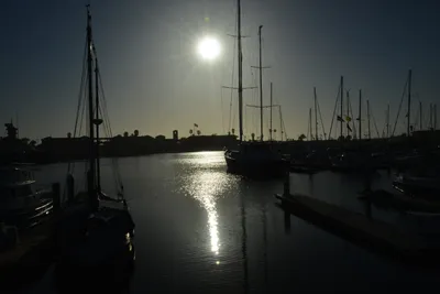 DSC_7229 (Large).JPG